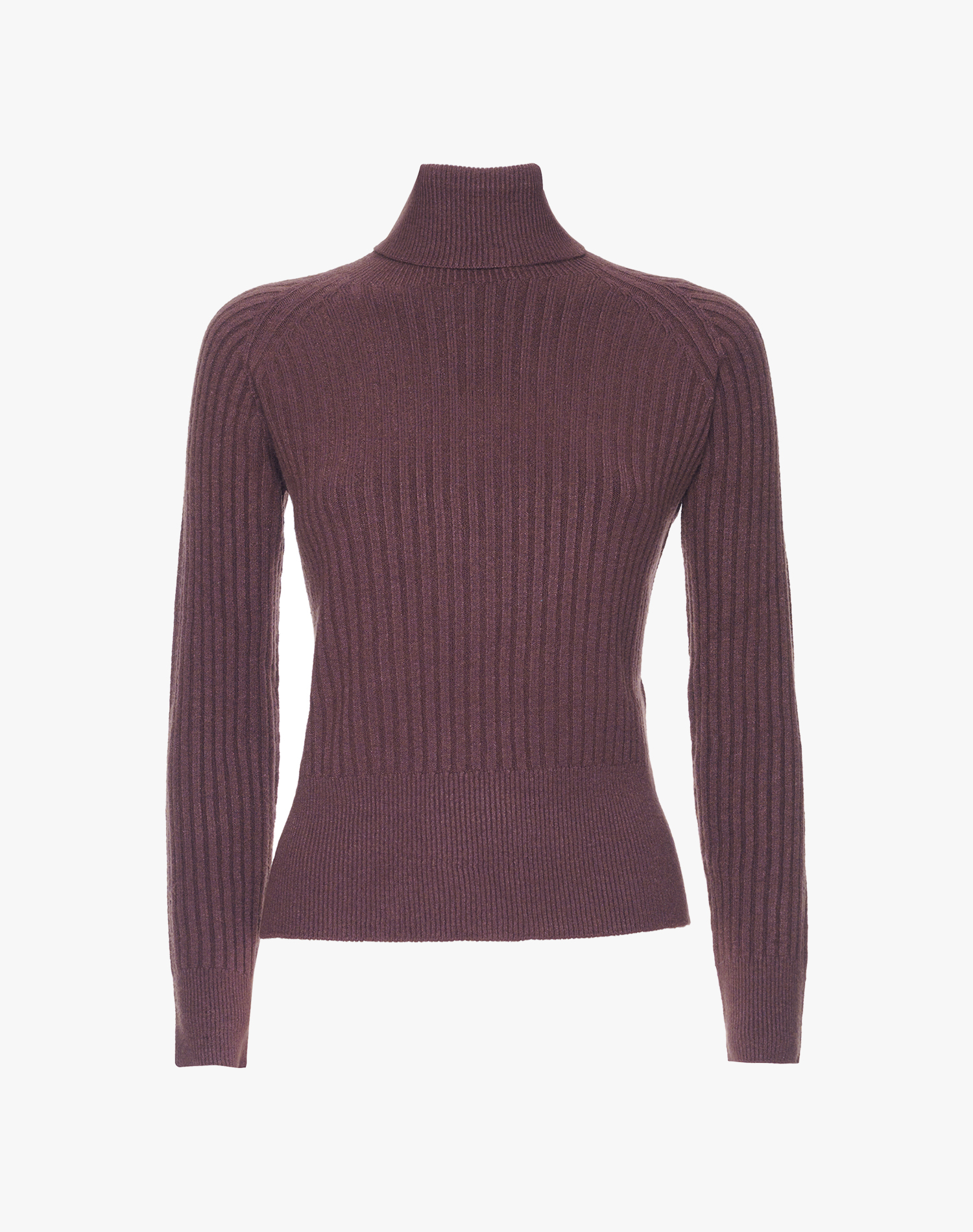 RIBBED TURTLENECK | Manila Grace
